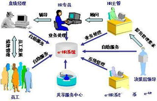 CIO視角 利用EHR優化人力資源管理，賦能企業高效運作與網絡技術服務